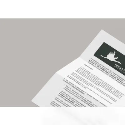 Bases Festival de cine Ópera Prima 2025