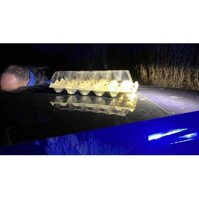Persecución policial en Tudela tras el lanzamiento de huevos a viandantes desde un coche