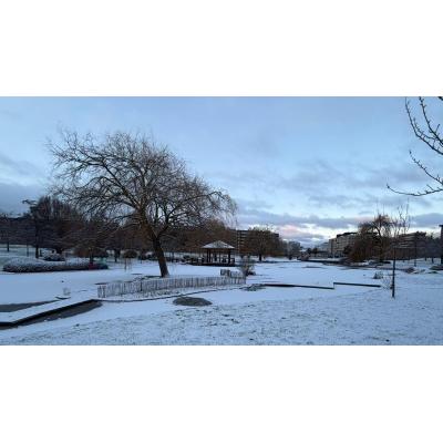Fotos del invierno de los lectores