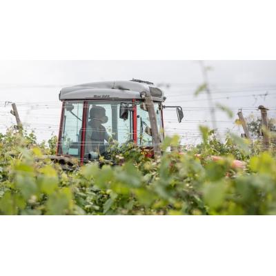 El relevo generacional en el campo: solo uno de cada diez agricultores tiene menos de 41 años
