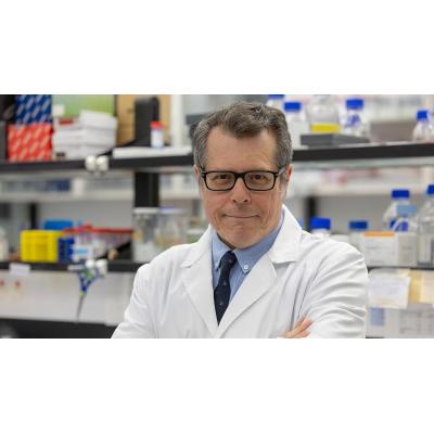Un investigador del Cima Universidad de Navarra, primer coeditor jefe español de la revista científica 'Gut'