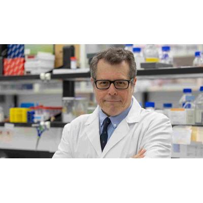 Un investigador del Cima Universidad de Navarra, primer coeditor jefe español de la revista científica 'Gut'