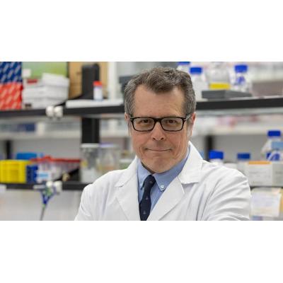 Un investigador del Cima Universidad de Navarra, primer coeditor jefe español de la revista científica Gut