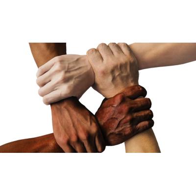 Seguridad y convivencia