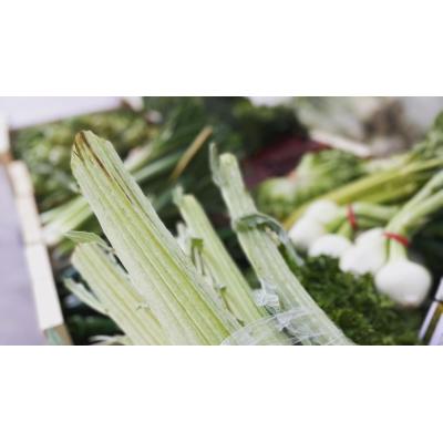 El cardo, protagonista en un pueblo de Navarra que celebra una fiesta con 'showcoocking' y degustaciones