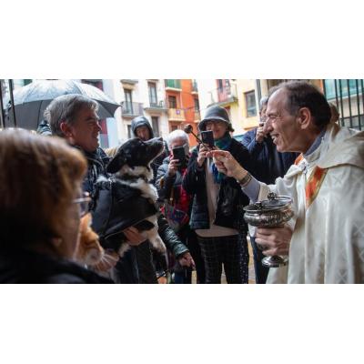 Fotos de la bendición de mascotas por San Antón en la plaza de San Nicolás de Pamplona
