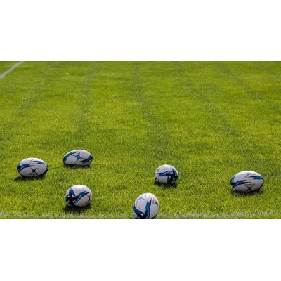 La Federación Navarra de Rugby critica la decisión de "aparcar" el proyecto de nuevo campo de rugby en Pamplona