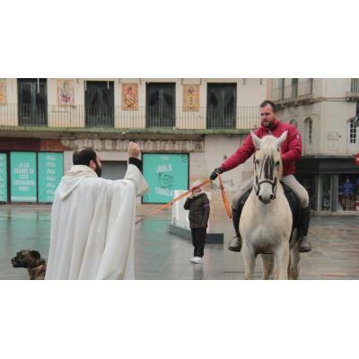 Tudela bendice a sus animales por San Antón