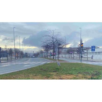 Paseo inesperado en Pamplona: una garza camina junto al tráfico y genera sorpresa en plena ciudad