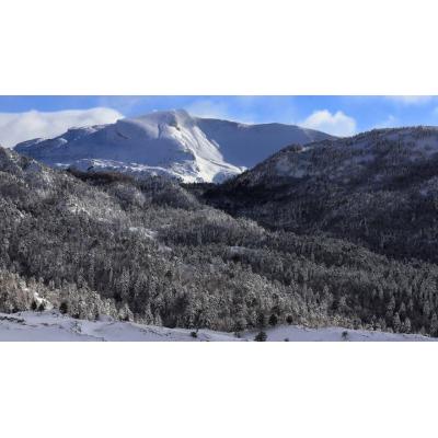 Nevadas en el Pirineo navarro a partir de los 1.200 metros