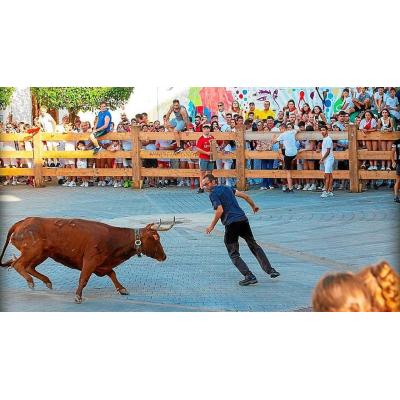 Aoiz abre un periodo de consulta sobre mantener o sustituir las vacas en fiestas