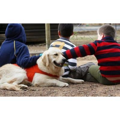 Terapia asistida con animales para alumnado de los colegios de Tudela en el curso 2025-2026