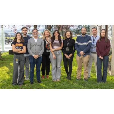 Un proyecto del Cima analiza el papel de la IA para mejorar la inmunoterapia