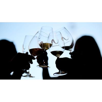 Navarra recibirá más de 900.000 euros para promocionar las exportaciones de vino en terceros países en 2027