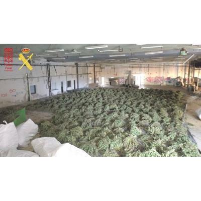 La Audiencia de Navarra condena a 3 años y 6 meses de prisión a cinco acusados de traficar con 105.000 kilos de marihuana