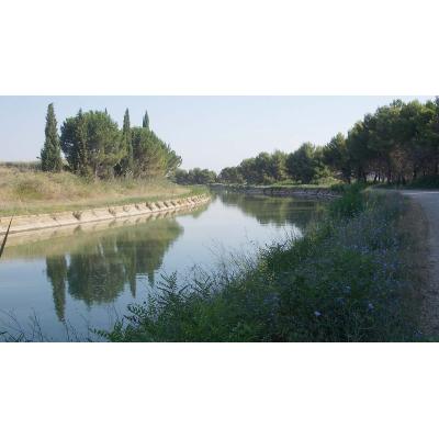 Obras en el Canal Imperial obligan a suspender el riego desde enero