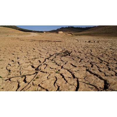 Riesgos globales y una ciudadanía exigente