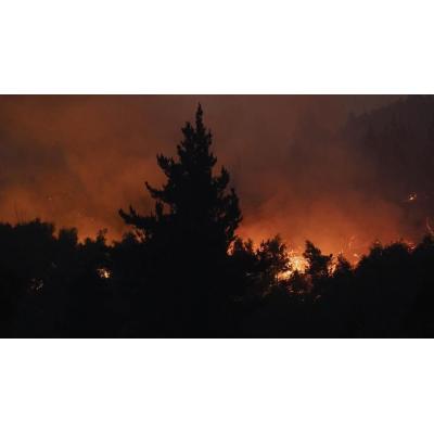 Los incendios forestales arrasan Chile: 40.000 hectáreas calcinadas y al menos 20 fallecidos