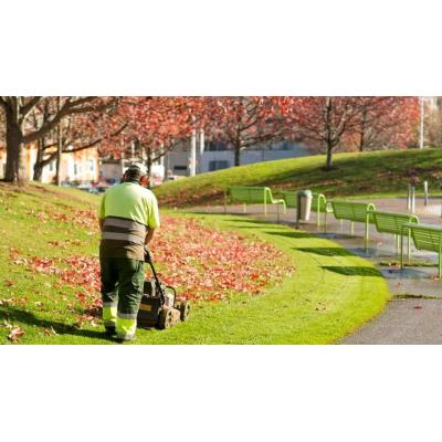 Solidaridad con el personal de jardinería
