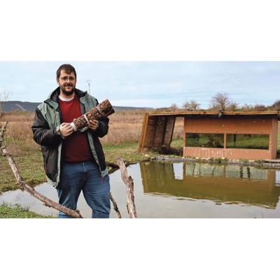 Escondites para fotografiar fauna salvaje