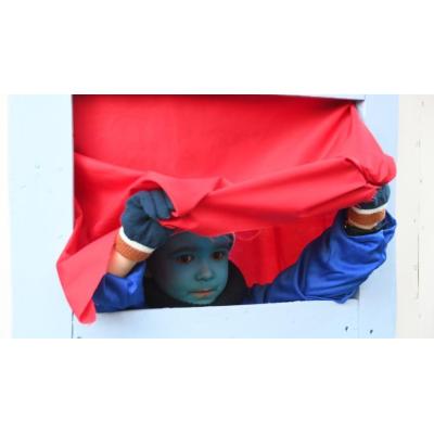 Galería de fotos del desfile del carnaval de Sunbilla