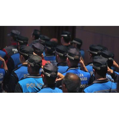Pros y contras de una policía comarcal