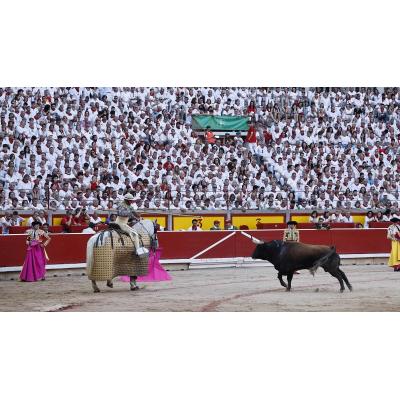 El Gobierno propone impedir la entrada de los menores a las corridas de toros