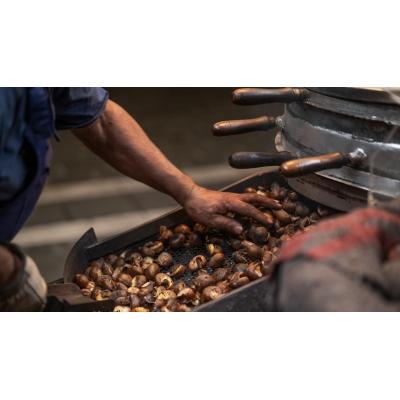 El aroma a castañas se prolonga dos meses más en Pamplona