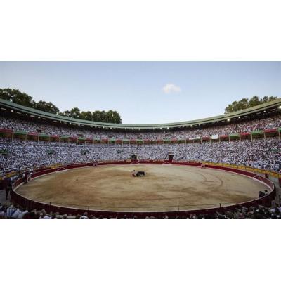 El Ministerio de Infancia propone impedir la entrada de menores a corridas y eventos violentos con animales