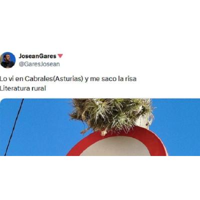 La 'señal de tráfico' que un navarro ha encontrado en Asturias y que remueve conciencias