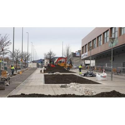 Pamplona: 77 nuevos árboles y más de 4.000 arbustos en la avenida de Gipuzkoa