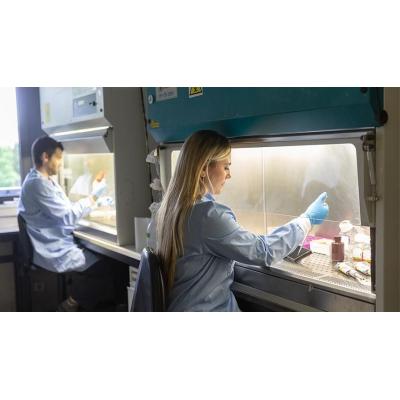 La Universidad de Navarra obtiene 4,4 millones de euros para 27 proyectos de investigación
