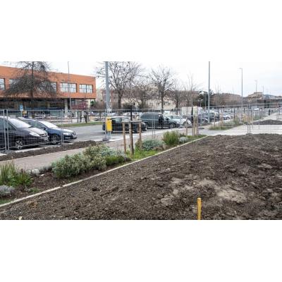 La avenida de Pamplona que estrena nuevos jardines para pasear: más árboles y espacios a la sombra