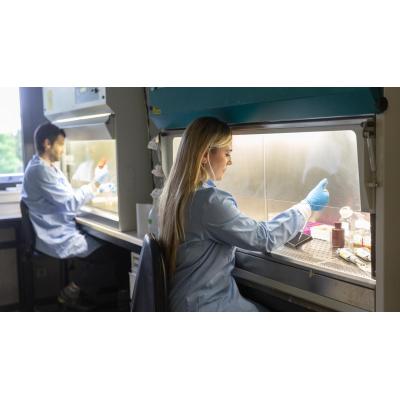 La Universidad de Navarra obtiene 4,4 millones para 27 proyectos de investigación