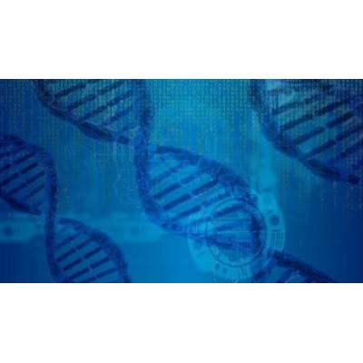 AlphaGenome, la IA de Google capaz de anticipar el impacto de mutaciones genéticas y entender mejor enfermedades complejas