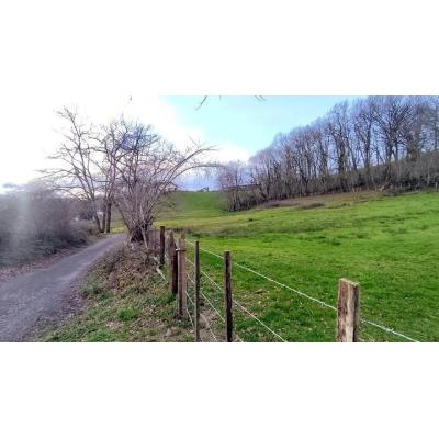 Visita el sábado a los humedales entre Elizondo y Lekaroz
