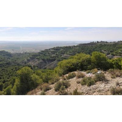 Valtierra licita la explotación de la atracción de la futura tirolina