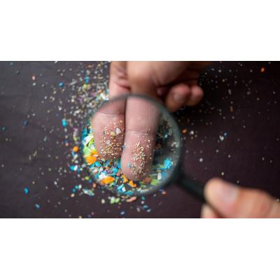 Un crustáceo fundamental para la cadena trófica marina obtiene energía a partir de microplásticos biodegradables