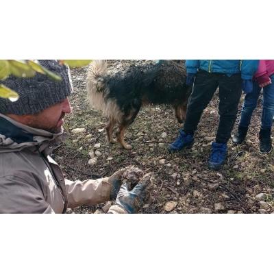 Descubre “el diamante negro” en primera persona con esta ‘Trufaexperiencia’