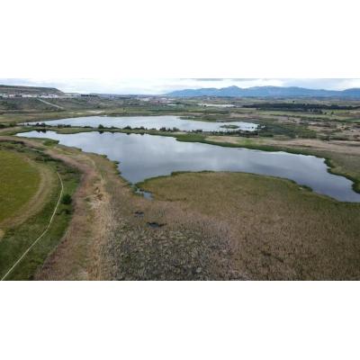 Navarra destina 1,46 millones a restaurar los humedales de Pitillas y Las Cañas