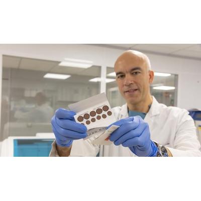 CUN | La sangre seca sirve para diagnosticar infecciones incluso siete años después de haber tomado la muestra