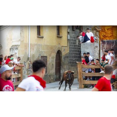 Los vecinos de Aoiz deciden en una votación recuperar las vacas en fiestas