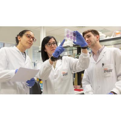 El avance que está cambiando el tratamiento del cáncer: el mensaje de esperanza de la Clínica Universidad de Navarra