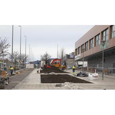 Renaturalizar Pamplona: lo que nadie te cuenta de la Avenida de Guipúzcoa