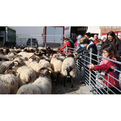UPN quiere destinar un 48% más a fiestas, la Virgen del Puy y ferias