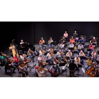 La OSN 'recupera' en concierto la amistad entre Falla y Lorca