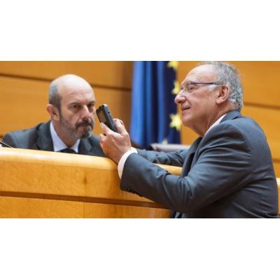 El Senado tramita una ley para sancionar a cargos y funcionarios que no respeten la bandera española