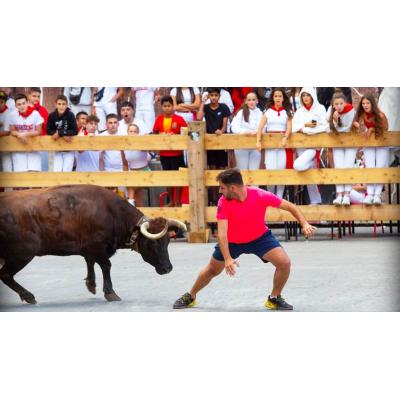 Las vacas derrotan a EH Bildu y seguirán presentes en las fiestas de un pueblo de Navarra