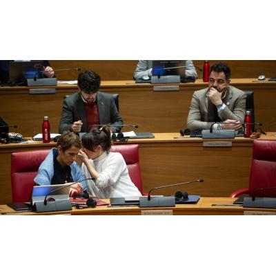 El Parlamento de Navarra aprueba incentivos fiscales para movilizar vivienda vacía hacia el alquiler asequible