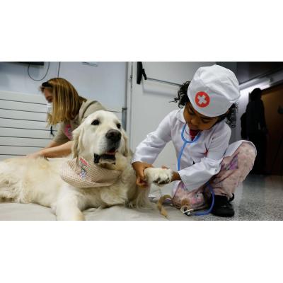 Los perros, 'doctores' de 4 patas que cambian la rutina hospitalaria de los niños ingresados en la Clínica Universidad de Navarra